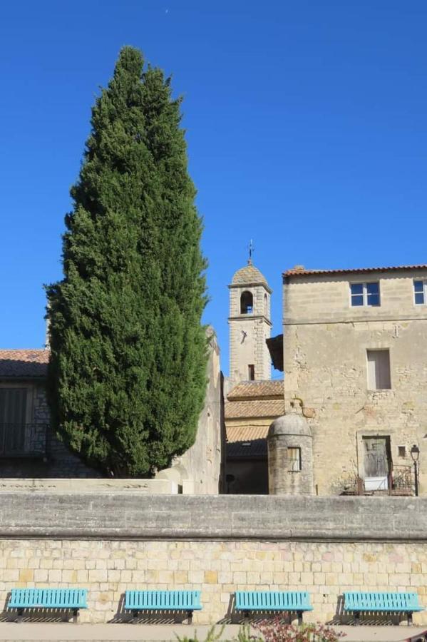 Hotel Le mazet de l'Amathye à Aramon Extérieur photo
